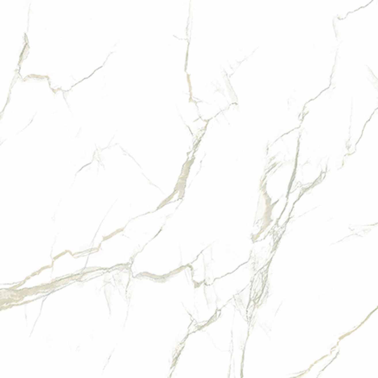 GLAZED-POLISHED-TILE-B6019-600600